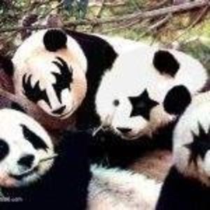 Meet your Posher, Lucy